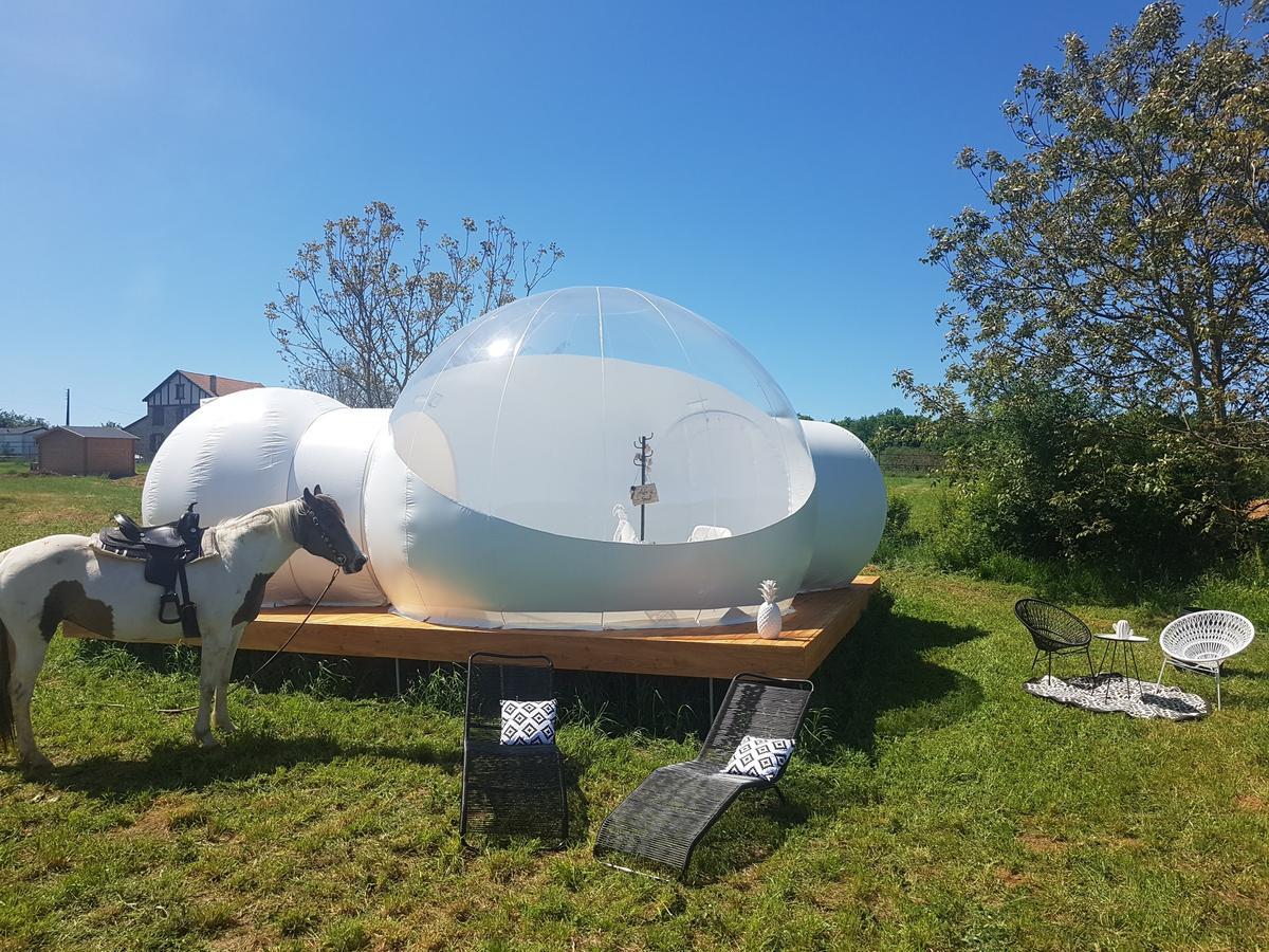 Pensjonat Coachella Lanouaille Zewnętrze zdjęcie