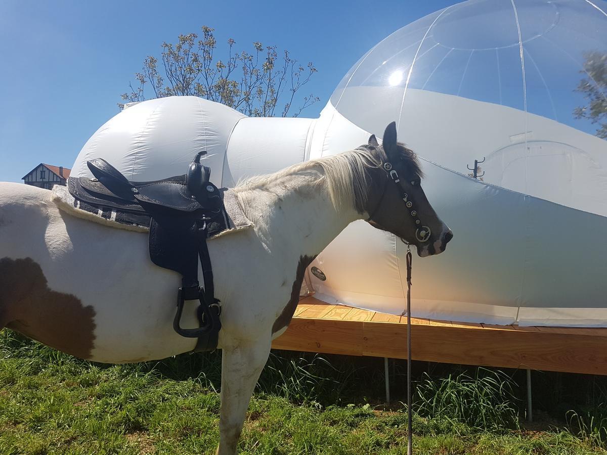 Pensjonat Coachella Lanouaille Zewnętrze zdjęcie
